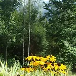 Sonnenschein * Semmering