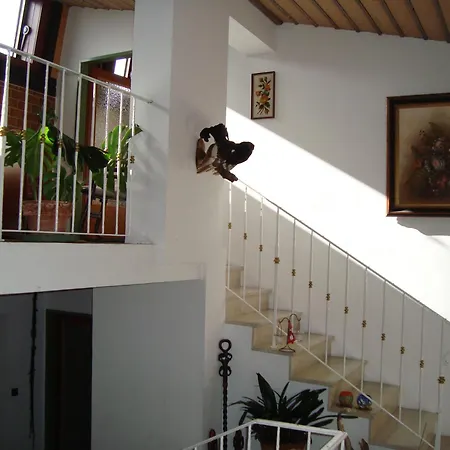 Sonnenschein Holiday home *