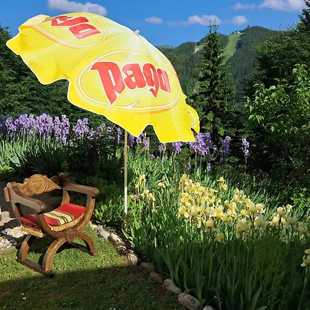 Sonnenschein * Semmering
