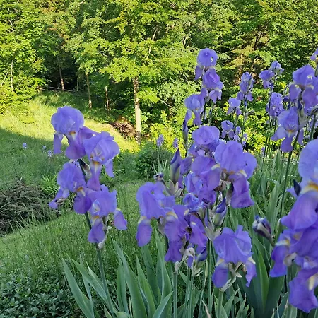 Semesterbostad Sonnenschein