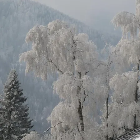 Holiday home Sonnenschein Semmering