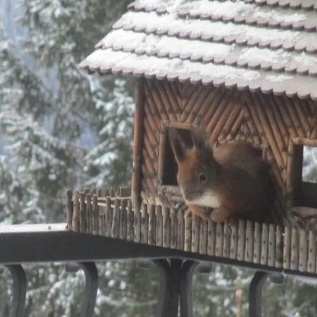 Sonnenschein Semmering