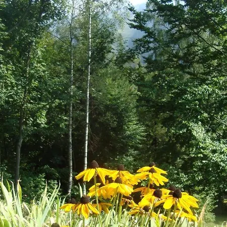 Sonnenschein * Semmering