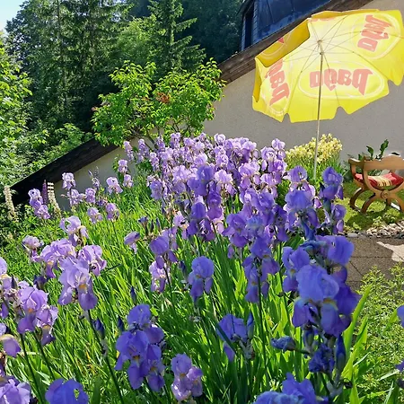 Sonnenschein * Semmering