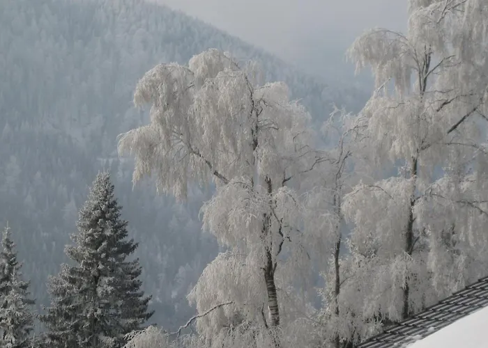 Σπίτι διακοπών Sonnenschein Semmering