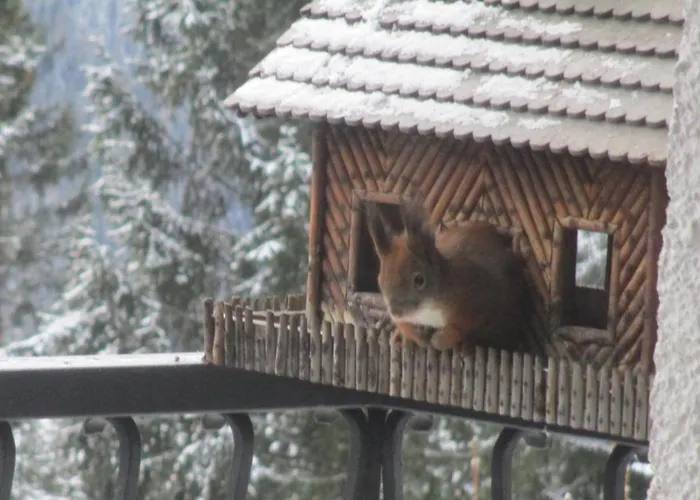 Sonnenschein Semmering